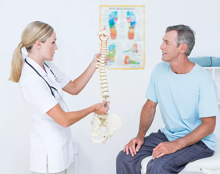Chiropractor referring to model spine with patient